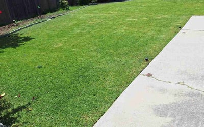 Photo of Amy B.'s yard after getting lawn care in Camarillo, CA