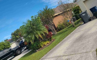 Photo of West M.'s yard after getting lawn care in Winchester, CA