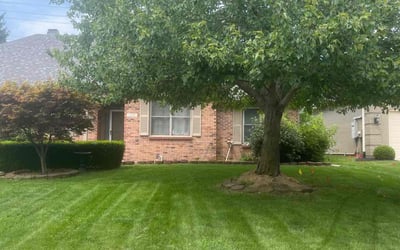 Photo of Michael R.'s yard after getting lawn care in Carmel, IN