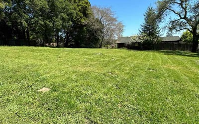 Photo of Charlie H.'s yard after getting lawn care in Healdsburg, CA