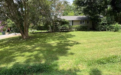 Photo of Hannah L.'s yard after getting lawn care in Montgomery, AL
