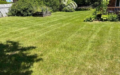 Photo of Khaatim B.'s yard after getting lawn care in Lansing, MI