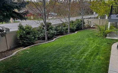 Photo of Shirley F.'s yard after getting lawn care in Layton, UT