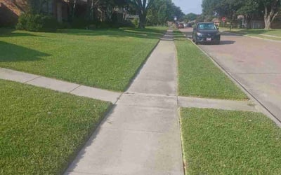 Photo of Staci B.'s yard after getting lawn care in Oviedo, FL