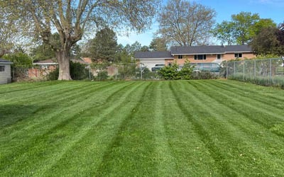 Photo of Darleen C.'s yard after getting lawn care in Clinton, UT