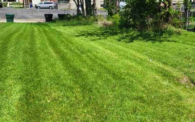 Photo of Michele B.'s yard after getting lawn care in Richwood, OH