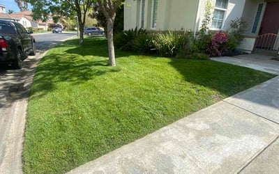 Photo of Tyler m.'s yard after getting lawn care in Sacramento, CA