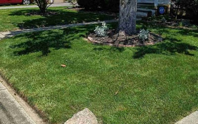 Photo of Lucas H.'s yard after getting lawn care in Tallmadge, OH