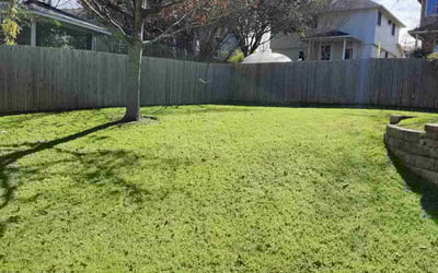 Photo of Andrea F.'s yard after getting lawn care in Atascadero, CA