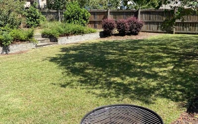 Photo of Lonzetta M.'s yard after getting lawn care in Lexington, SC