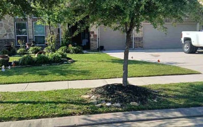 Photo of Arturo J.'s yard after getting lawn care in New Caney, TX