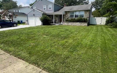 Photo of D'Angela H.'s yard after getting lawn care in Cherry Hill, NJ