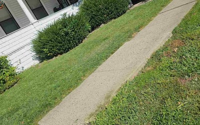 Photo of Thomas B.'s yard after getting lawn care in Cranberry Twp, PA