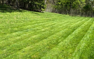 Photo of Benita M.'s yard after getting lawn care in Sewickley, PA