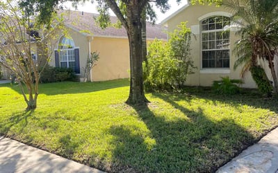 Photo of George P.'s yard after getting lawn care in Sanford, FL