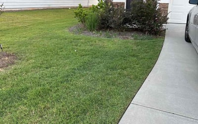 Photo of Cammy N.'s yard after getting lawn care in Gainesville, GA