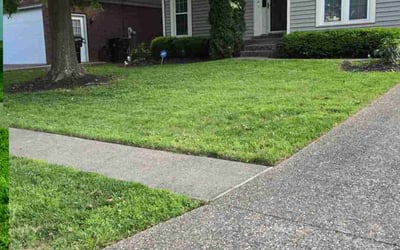Photo of Lorraine E.'s yard after getting lawn care in Mason, OH