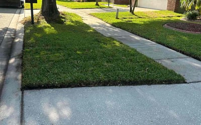 Photo of Joanne G.'s yard after getting lawn care in Dedham, MA
