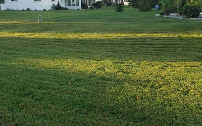 Photo of Anna A.'s yard after getting lawn care in Bradenton, FL