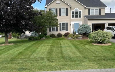 Photo of Latesha H.'s yard after getting lawn care in Manlius, NY