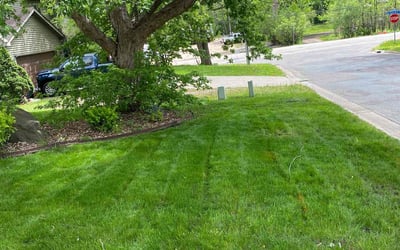 Photo of Tara K.'s yard after getting lawn care in Saint Paul, MN