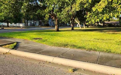 Photo of Demetri M.'s yard after getting lawn care in Taylor, TX