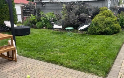 Photo of Jen B.'s yard after getting lawn care in Evanston, IL