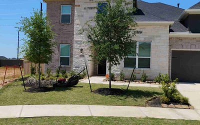 Photo of Omar G.'s yard after getting lawn care in Liberty, TX