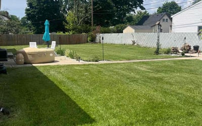 Photo of Barbara A.'s yard after getting lawn care in Lansing, MI