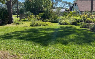 Photo of Sean J.'s yard after getting lawn care in Daytona Beach, FL