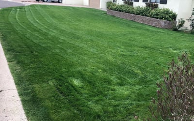 Photo of Ravi G.'s yard after getting lawn care in Phoenix, AZ