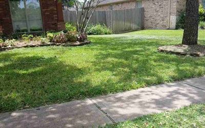 Photo of Willem S.'s yard after getting lawn care in San Benito, TX