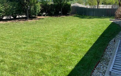 Photo of Brad H.'s yard after getting tree care in Kansas City, KS