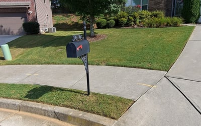Photo of Shannon S.'s yard after getting lawn care in Chickamauga, GA