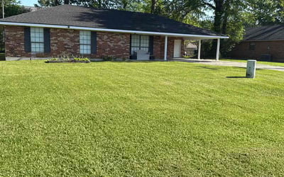 Photo of Brenda H.'s yard after getting lawn care in Lafayette, LA