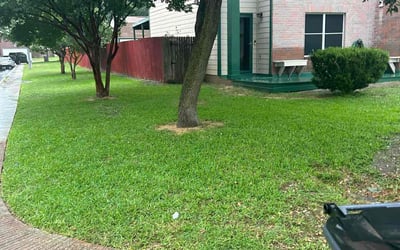 Photo of Louis G.'s yard after getting tree care in Pleasanton, TX