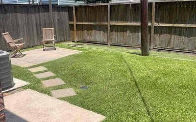 Photo of Prava V.'s yard after getting lawn care in Alamo, TX
