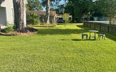 Photo of Rochelle S.'s yard after getting lawn care in Alvin, TX