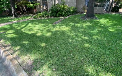 Photo of Masaaki T.'s yard after getting lawn care in San Bruno, CA