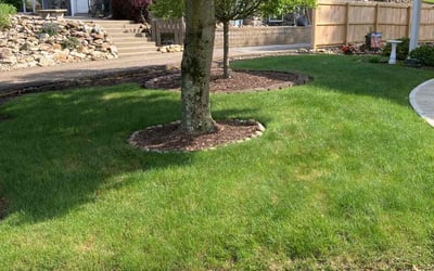 Photo of Damita M.'s yard after getting lawn care in Oakdale, PA