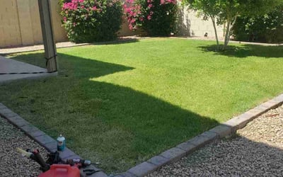 Photo of Laverne B.'s yard after getting lawn care in Mesa, AZ