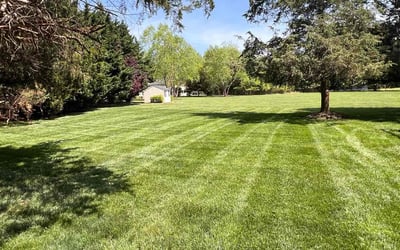 Photo of Dr. L.'s yard after getting lawn care in Warrenton, VA