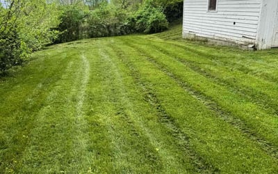 Photo of Cameron H.'s yard after getting lawn care in La Follette, TN