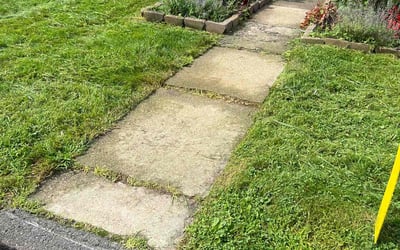 Photo of Nicolle R.'s yard after getting lawn care in Windsor, CT