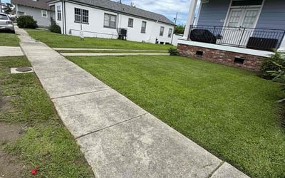 Photo of Cecily D.'s yard after getting lawn care in New Orleans, LA