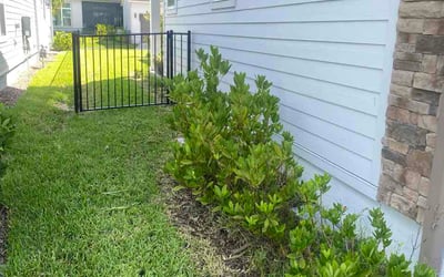 Photo of Andrew G.'s yard after getting lawn care in Reno, NV