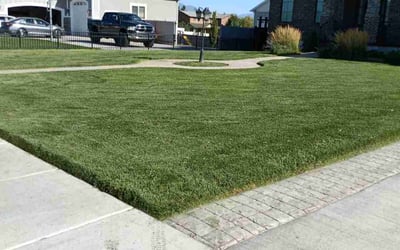 Photo of Timothy F.'s yard after getting lawn care in Lehi, UT