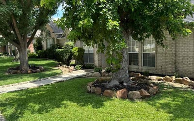 Photo of Maryann B.'s yard after getting lawn care in Aubrey, TX