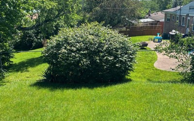 Photo of Jan Z.'s yard after getting lawn care in Hazelwood, MO