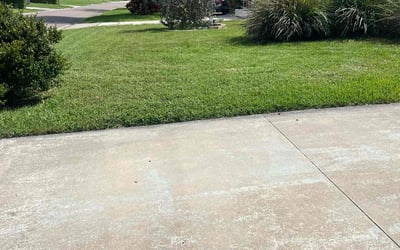 Photo of Javier V.'s yard after getting tree care in Warminster, PA